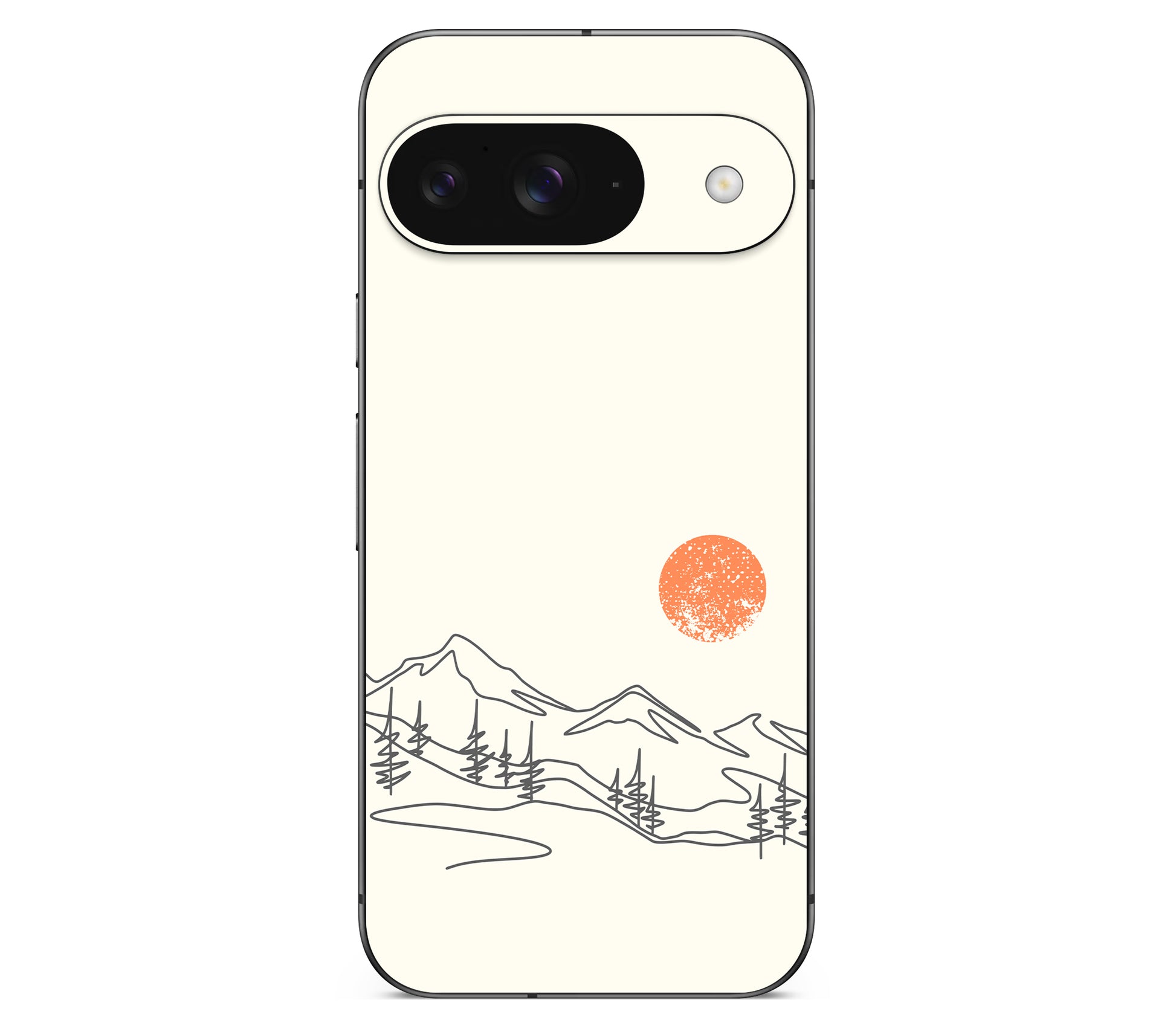 Google Pixel 9 skin, Offline